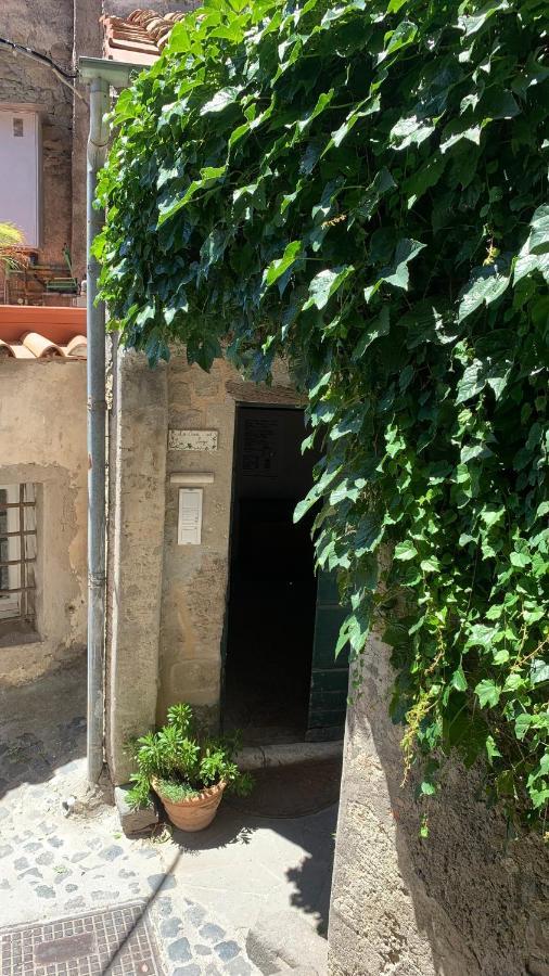 La Casa Sul Lago Anguillara Sabazia Buitenkant foto