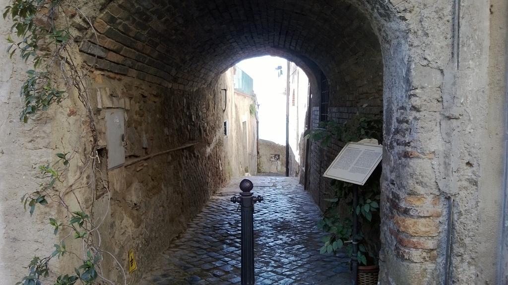 La Casa Sul Lago Anguillara Sabazia Kamer foto